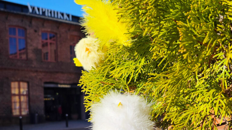 Vapriikin punatiilinen rakennus taustalla, edustalla pääsiäistipuja.